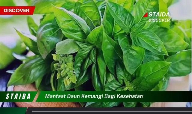 Temukan Manfaat Daun Kemangi bagi Kesehatan yang Belum Diketahui