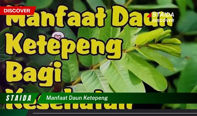 Temukan Manfaat Baru Daun Ketapeng yang Jarang Diketahui