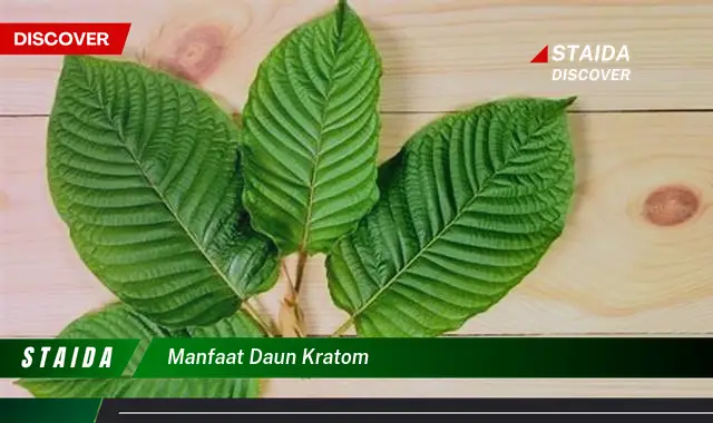 Temukan 7 Manfaat Daun Kratom yang Anda Harus Tahu