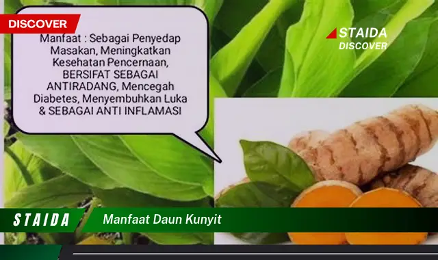 Temukan Manfaat Daun Kunyit yang Jarang Diketahui, Anda Perlu Tahu