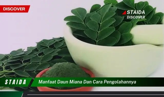 7 Manfaat Daun Miana yang Jarang Diketahui