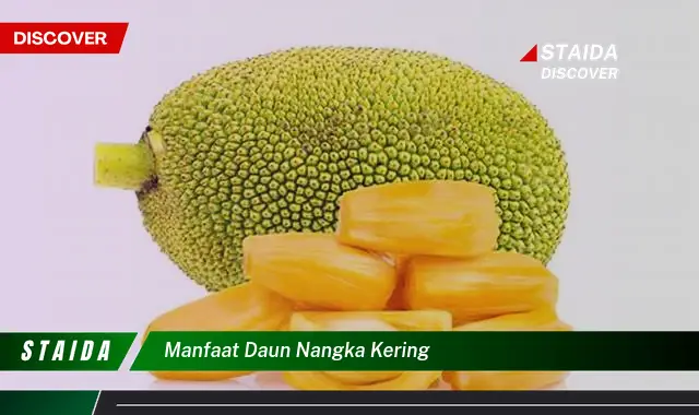 Temukan 7 Manfaat Daun Nangka Kering yang Jarang Diketahui!