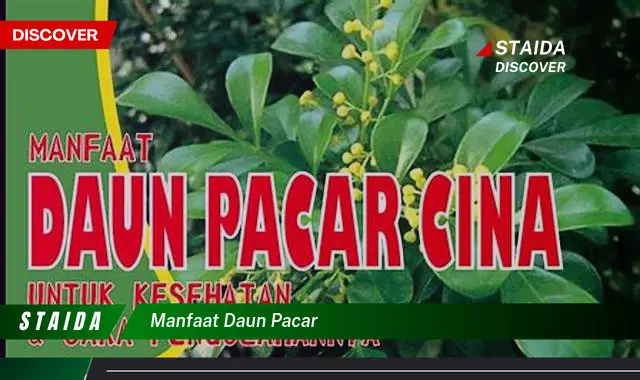 Temukan Manfaat Daun Pacar yang Jarang Diketahui