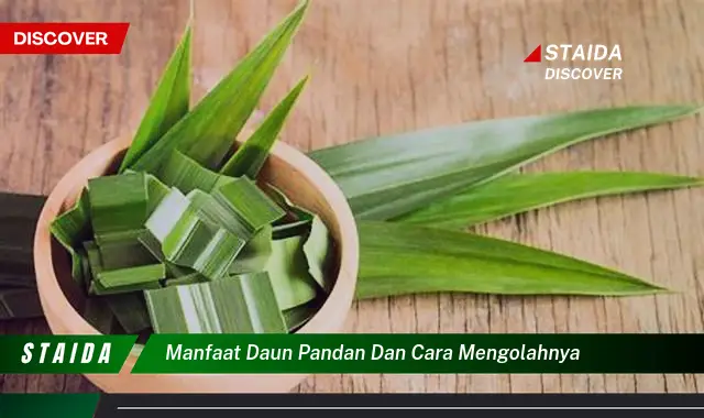 Temukan Manfaat Daun Pandan yang Jarang Diketahui