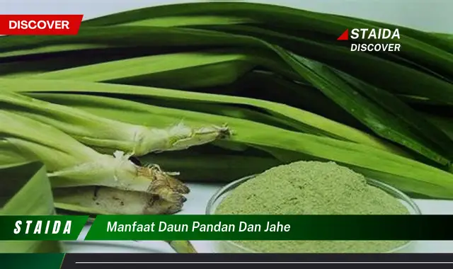 Temukan 7 Khasiat Daun Pandan dan Jahe yang Jarang Diketahui