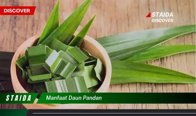 7 Manfaat Daun Pandan yang Jarang Diketahui