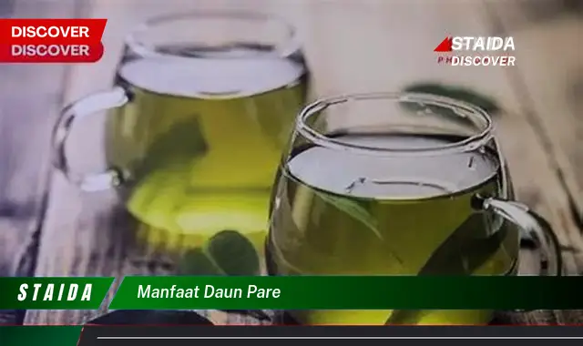 manfaat daun pare