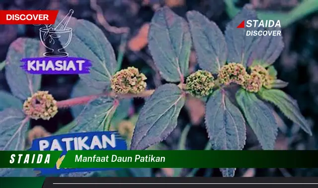 7 Manfaat Daun Patikan yang Jarang Diketahui