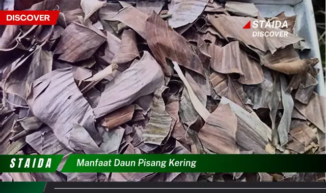 Temukan Manfaat Daun Pisang Kering yang Belum Banyak Diketahui