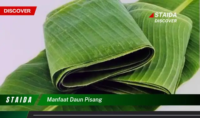 Temukan 7 Manfaat Daun Pisang yang Jarang Diketahui