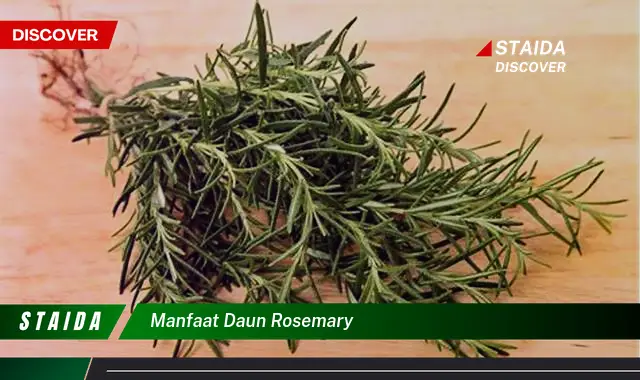 Temukan Khasiat Daun Rosemary yang Jarang Diketahui