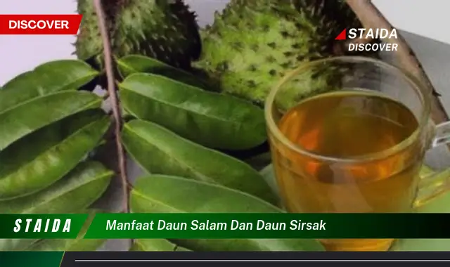 Temukan 7 Manfaat Daun Salam dan Daun Sirsak yang Jarang Diketahui