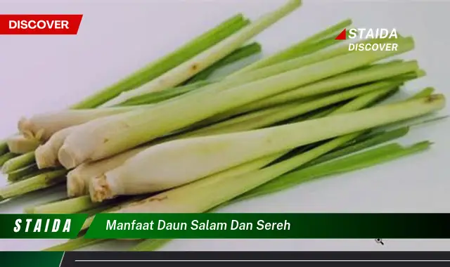 Temukan Manfaat Daun Salam dan Sereh yang Jarang Diketahui