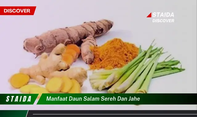 Temukan Manfaat Daun Salam, Sereh, dan Jahe yang Tak Terduga