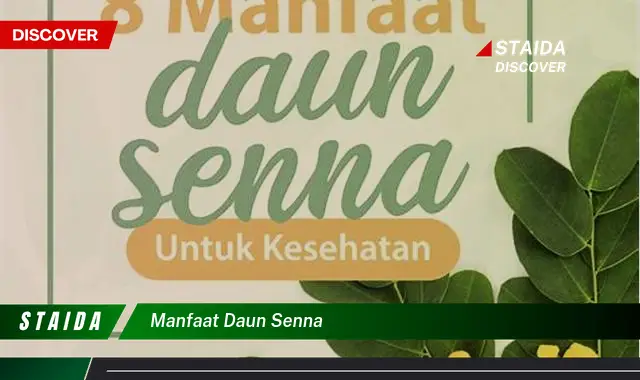 Temukan Rahasia Manfaat Daun Senna yang Jarang Diketahui