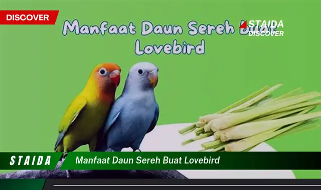 Temukan Khasiat Daun Sereh untuk Lovebird yang Jarang Diketahui