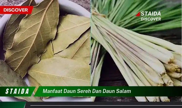 Temukan 7 Manfaat Daun Sereh dan Daun Salam yang Jarang Diketahui