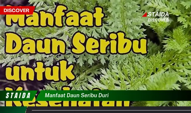 Temukan 7 Manfaat Daun Seribu Duri yang Jarang Diketahui