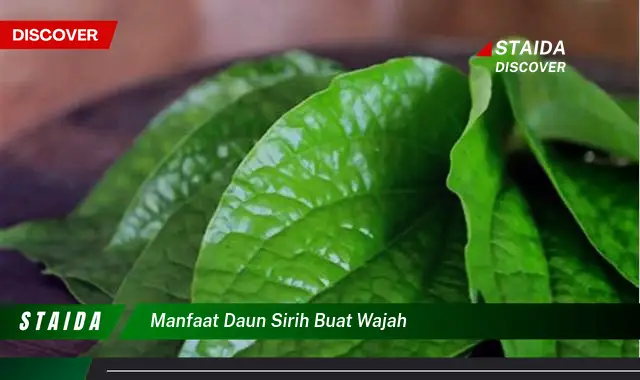 Ketahui 9 Manfaat Daun Sirih Buat Wajah,  Tips dan Cara Penggunaan untuk Kulit Cantik Berseri