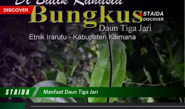 Temukan Manfaat Daun Tiga Jari yang Jarang Diketahui