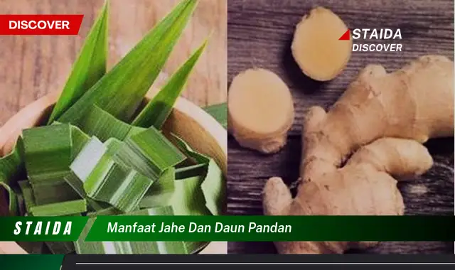 Temukan Rahasia Manfaat Jahe dan Daun Pandan yang Jarang Diketahui