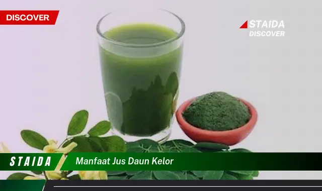 manfaat jus daun kelor