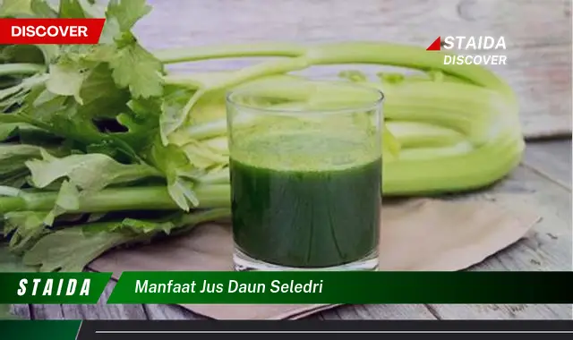 Temukan 7 Manfaat Jus Daun Seledri yang Jarang Diketahui, Anda Perlu Tahu!