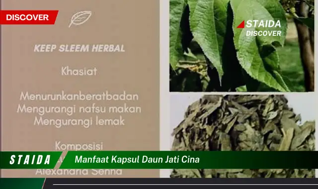 Ketahui 10 Manfaat Kapsul Daun Jati Cina untuk Menurunkan Berat Badan Secara Alami dan Efektif