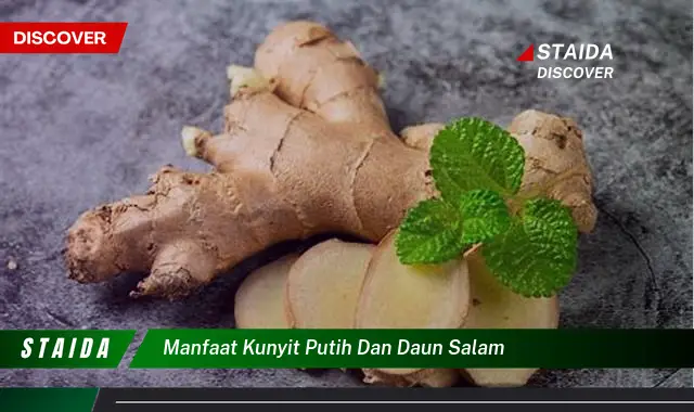 Temukan Manfaat Kunyit Putih dan Daun Salam yang Jarang Diketahui