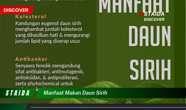 Manfaat Makan Daun Sirih: Penemuan dan Wawasan Menjanjikan!