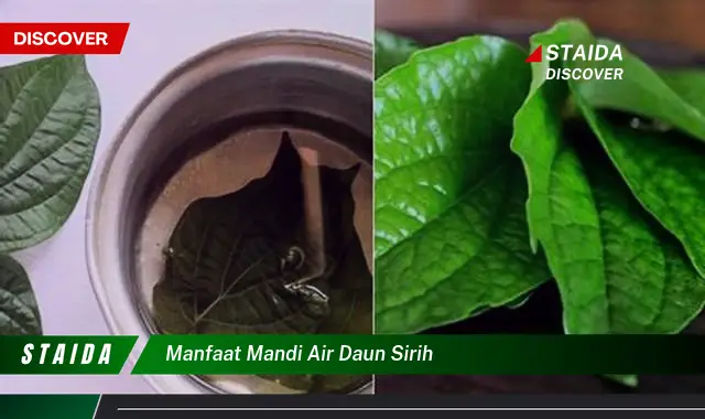 Ungkap 7 Manfaat Mandi Air Daun Sirih yang Jarang Diketahui