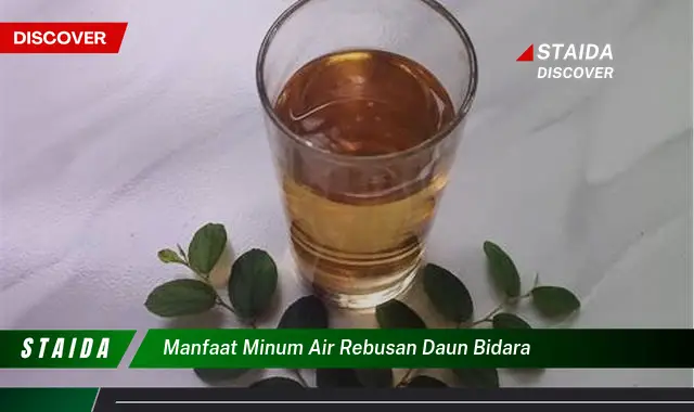 Ketahui 10 Manfaat Minum Air Rebusan Daun Bidara untuk Kesehatan Anda