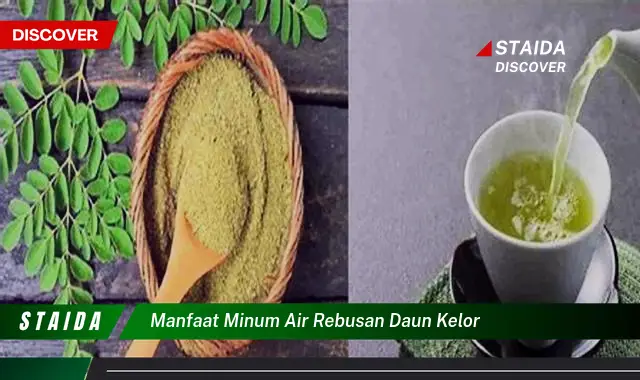 Manfaat Daun Kelor: 7 Khasiat Dahsyat yang Jarang Diketahui