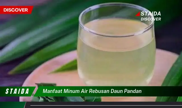 Temukan Manfaat Minum Air Rebusan Daun Pandan yang Jarang Diketahui untuk Kesehatan