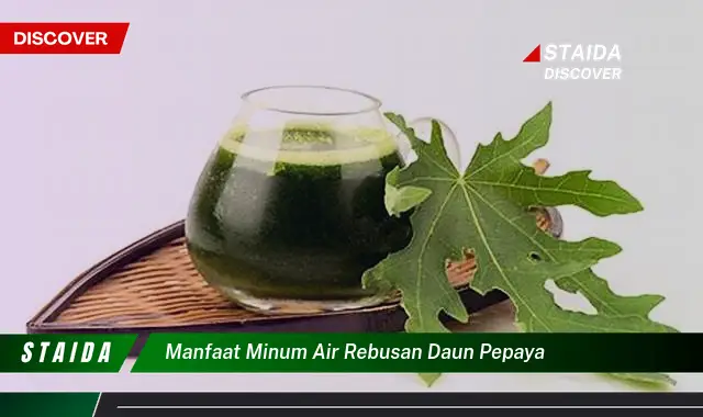 Temukan 7 Manfaat Minum Air Rebusan Daun Pepaya yang Jarang Diketahui