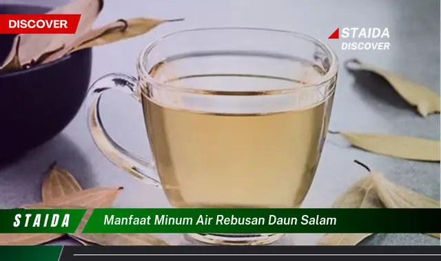 Temukan 7 Manfaat Minum Air Rebusan Daun Salam yang Jarang Diketahui