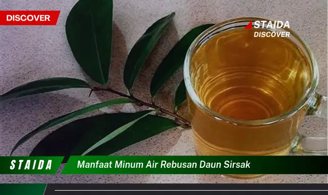 Temukan Manfaat Air Rebusan Daun Sirsak yang Jarang Diketahui