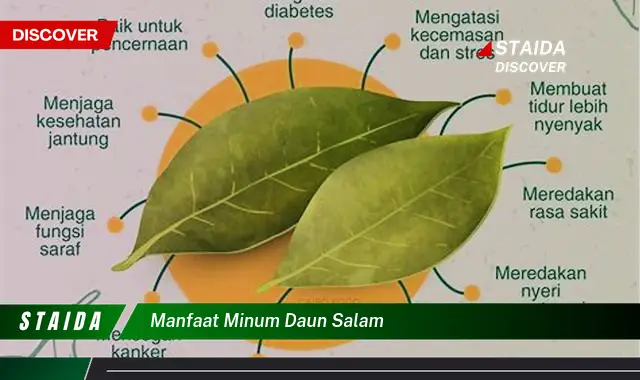 Temukan Manfaat Minum Daun Salam yang Jarang Diketahui