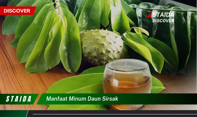 Temukan 7 Manfaat Minum Daun Sirsak yang Jarang Diketahui, Luar Biasa!