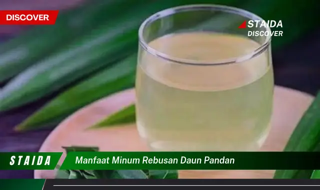 manfaat minum rebusan daun pandan