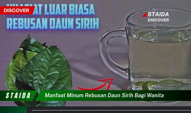 Temukan 7 Rahasia Rebusan Daun Sirih untuk Kesehatan Wanita yang Jarang Diketahui