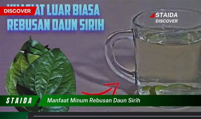 Temukan Manfaat Minum Rebusan Daun Sirih yang Jarang Diketahui