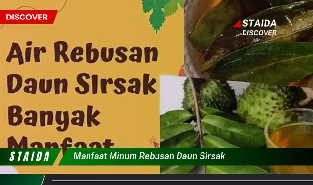 Temukan 7 Manfaat Minum Rebusan Daun Sirsak yang Jarang Diketahui