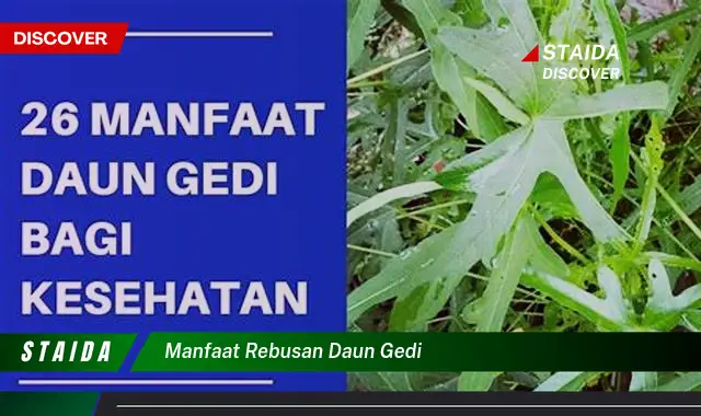 Temukan Manfaat Rebusan Daun Gedi Yang Jarang Diketahui