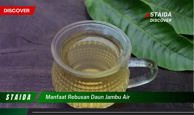 Temukan 7 Manfaat Rebusan Daun Jambu Air yang Jarang Diketahui!