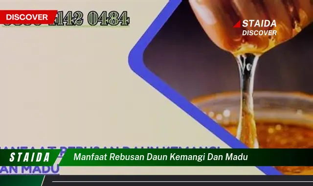 Temukan 7 Manfaat Rebusan Daun Kemangi dan Madu yang Jarang Diketahui