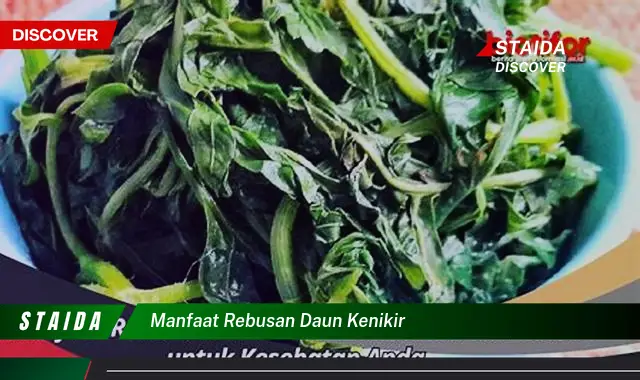 manfaat rebusan daun kenikir