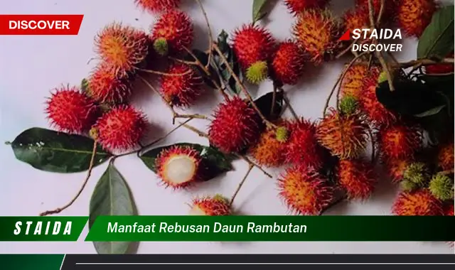 7 Manfaat Rebusan Daun Rambutan yang Jarang Diketahui