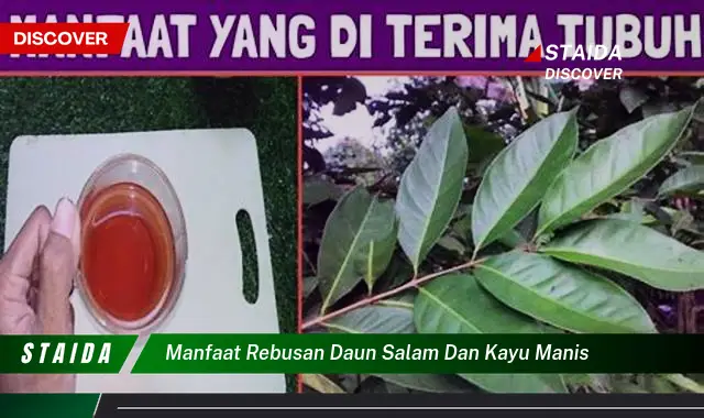 Ungkap 7 Manfaat Daun Salam dan Kayu Manis untuk Kesehatan Anda