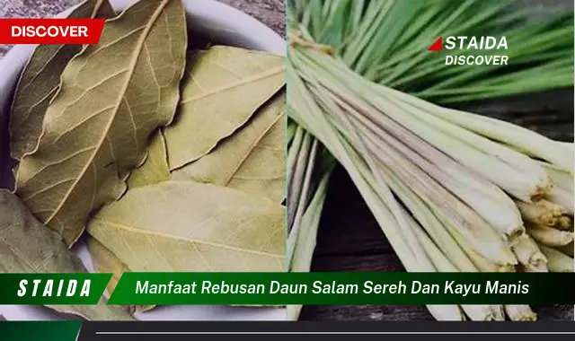 Temukan 7 Manfaat Daun Salam, Serai, dan Kayu Manis yang Belum Banyak Diketahui